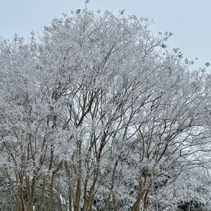 Meet your Posher, Florence